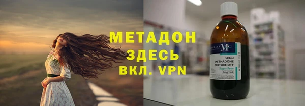 сатива Беломорск
