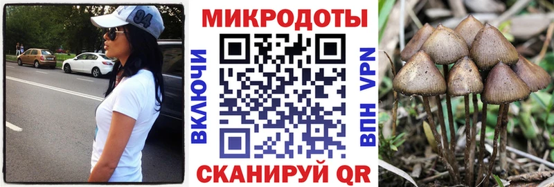 Псилоцибиновые грибы Psilocybe  Купить где  Шенкурск 